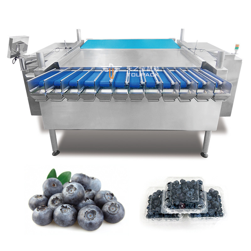 Machine automatique d'emballage de boîtes en plastique de fruits de la passion Kumquat d'hiver Jujube ligne d'emballage de remplissage de pesage de Blackberry