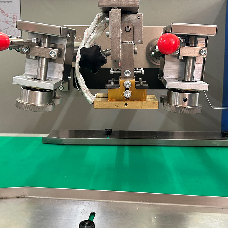 Machine d'emballage automatique pour oreillers de légumes/fruits frais