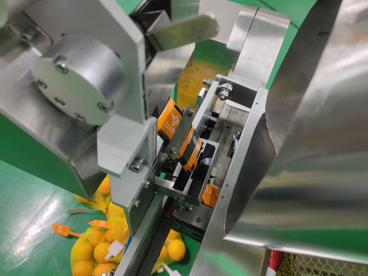 Machine d'emballage automatique de sacs en filet, plage de pesée 3g-5000g pour l'emballage de légumes, fruits, gingembre, pommes de terre, agrumes