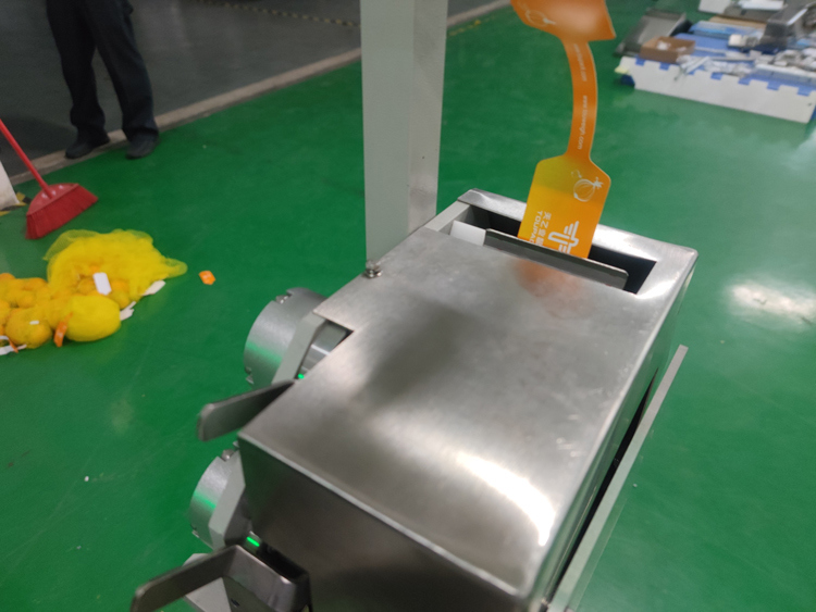 Machine d'emballage automatique de sacs en filet, plage de pesée 3g-5000g pour l'emballage de légumes, fruits, gingembre, pommes de terre, agrumes