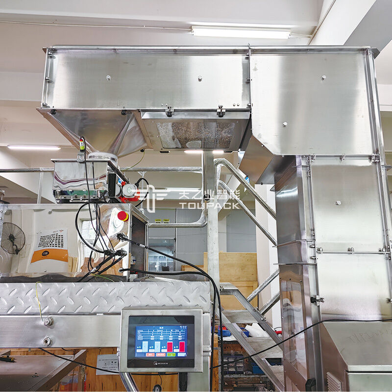 Machine d'emballage de poudre d'épices, 100g, 200g, 500g, équipement d'emballage de poudre de piment, Machine de remplissage et de scellage de poudre