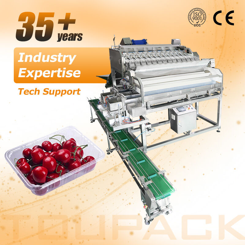 Ligne d'emballage de scellage de plateau de fruits et légumes de tomates cerises, peseuse linéaire automatique avec système de pesage de haute précision