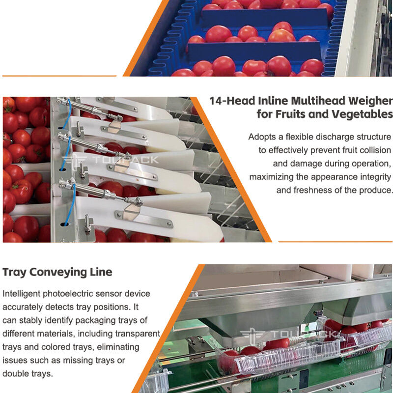 Ligne d'emballage de scellage de plateau de fruits et légumes de tomates cerises, peseuse linéaire automatique avec système de pesage de haute précision