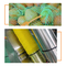 Écran tactile végétal de PLC de machine à emballer de sac de filet de Hareware de fruit pour le lien de empaquetage