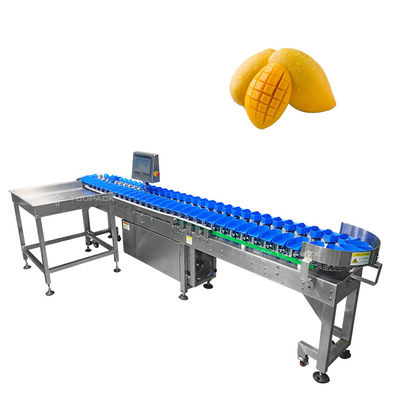 Trieuse de la taille 304 automatique d'acier inoxydable pour l'évaluation de légumes fruits de mangue