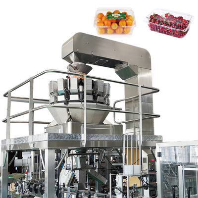 Moteur servo de peseur automatique de Multihead d'exactitude conduisant la machine à emballer de salade de légumes fruits