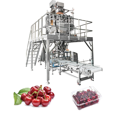 Machine automatique d'emballage de fruits pommes tomates cerises conserves d'emballage de la plaque de kumquat machine d'emballage