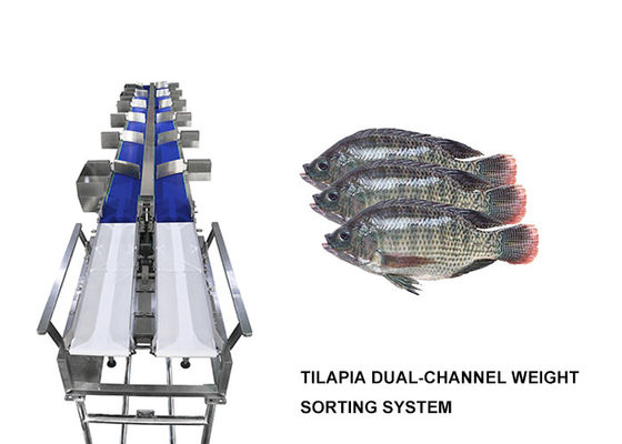 Imperméabilisez la machine de trieuse de Multihweight de 12 catégories pour les poissons de nourriture fraîche/saucisse/jaune