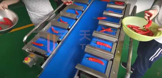 Peseur de ceinture de Chili Carrot Food Grade Siemens pour le produit irrégulier