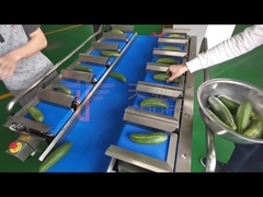 Pesage de fruits et légumes -- Combinaison peseuse à 12 courroies