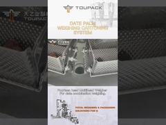 Chaîne d'emballage de boîte de palmier dattier de personnalisation chaîne de montage automatique de production de machine de remplissage de granule