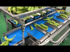 Fabrication de l'industrie du filet semi-automatique sac de poids de filet de comptage de filet de coupe de l'emballage de l'emballage