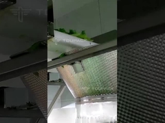 machine à peser des salades à plusieurs têtes