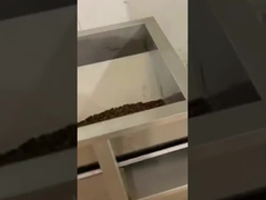 Machine de remplissage de grains de café à pesée linéaire