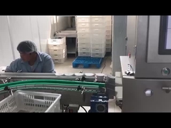 Machine électronique automatisée d'inspection par rayons X pour l'industrie alimentaire Système d'inspection par rayons X