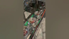 Nourriture de perroquet Nourriture pour animaux de compagnie VFFS Noix Granule congeler Fruits secs Machine d'emballage pour les fruits secs