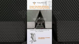 Conçu pour les boulettes de poisson congelées, ce système de peseuse associative
